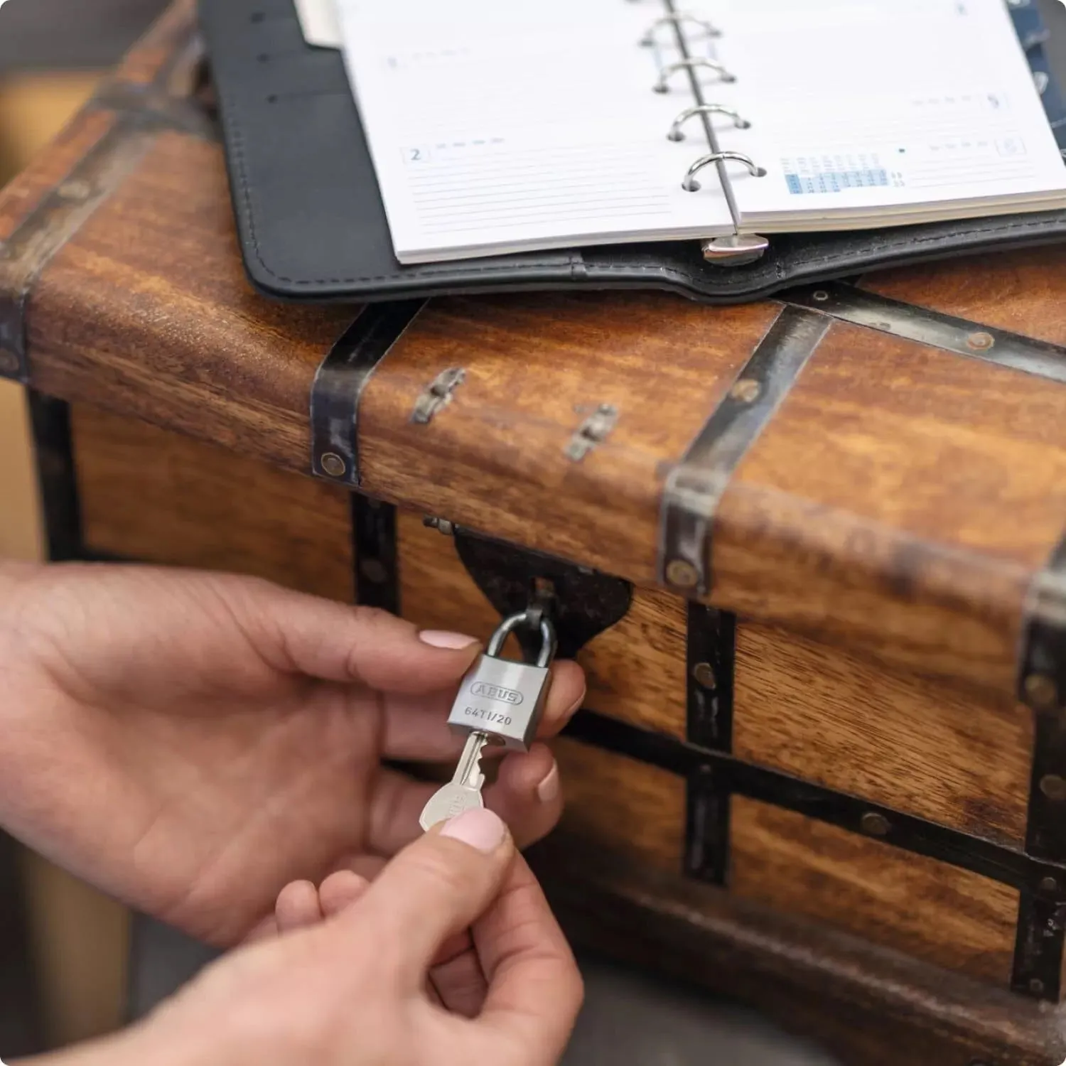 ABUS Mechanical 64Ti/20Mm Titalium Padlock Carded
