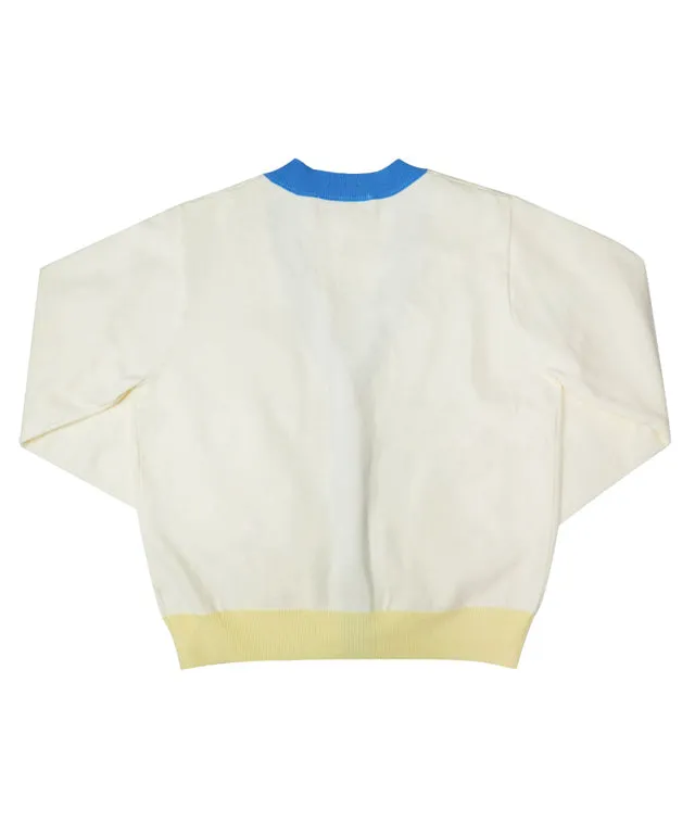 BENECIA 12 Pastel Mix Cardigan - Pastel