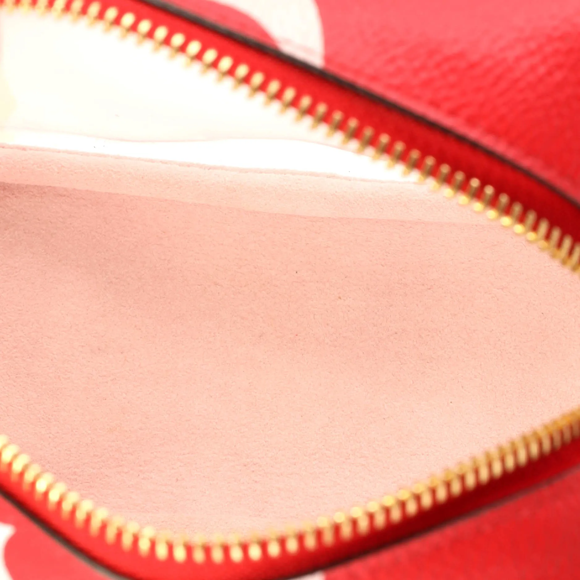 Designer Beach Pouch Limited Edition Colored Monogram Giant