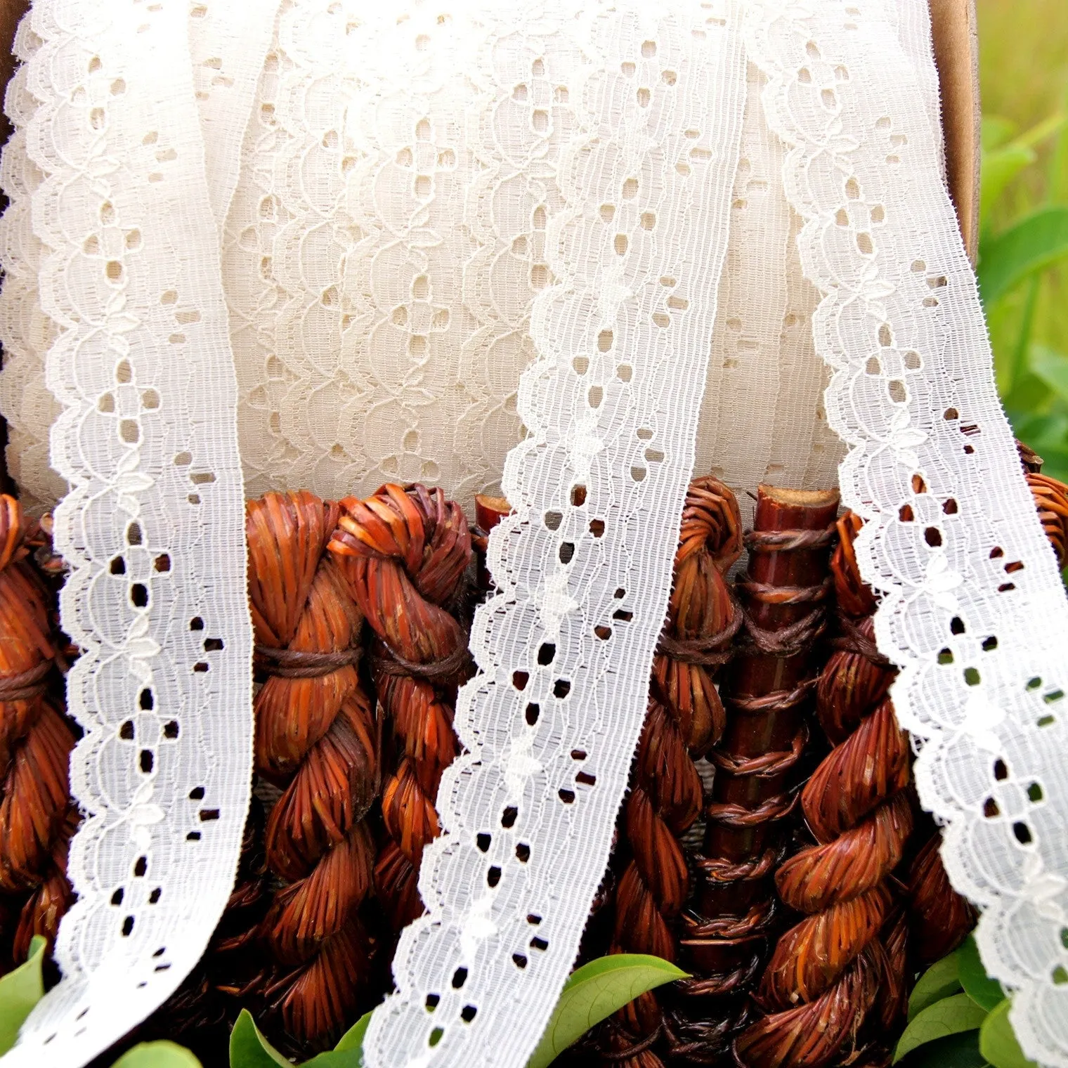 Eyelet Light Beige Scalloped Lace Trim 1¼" wide