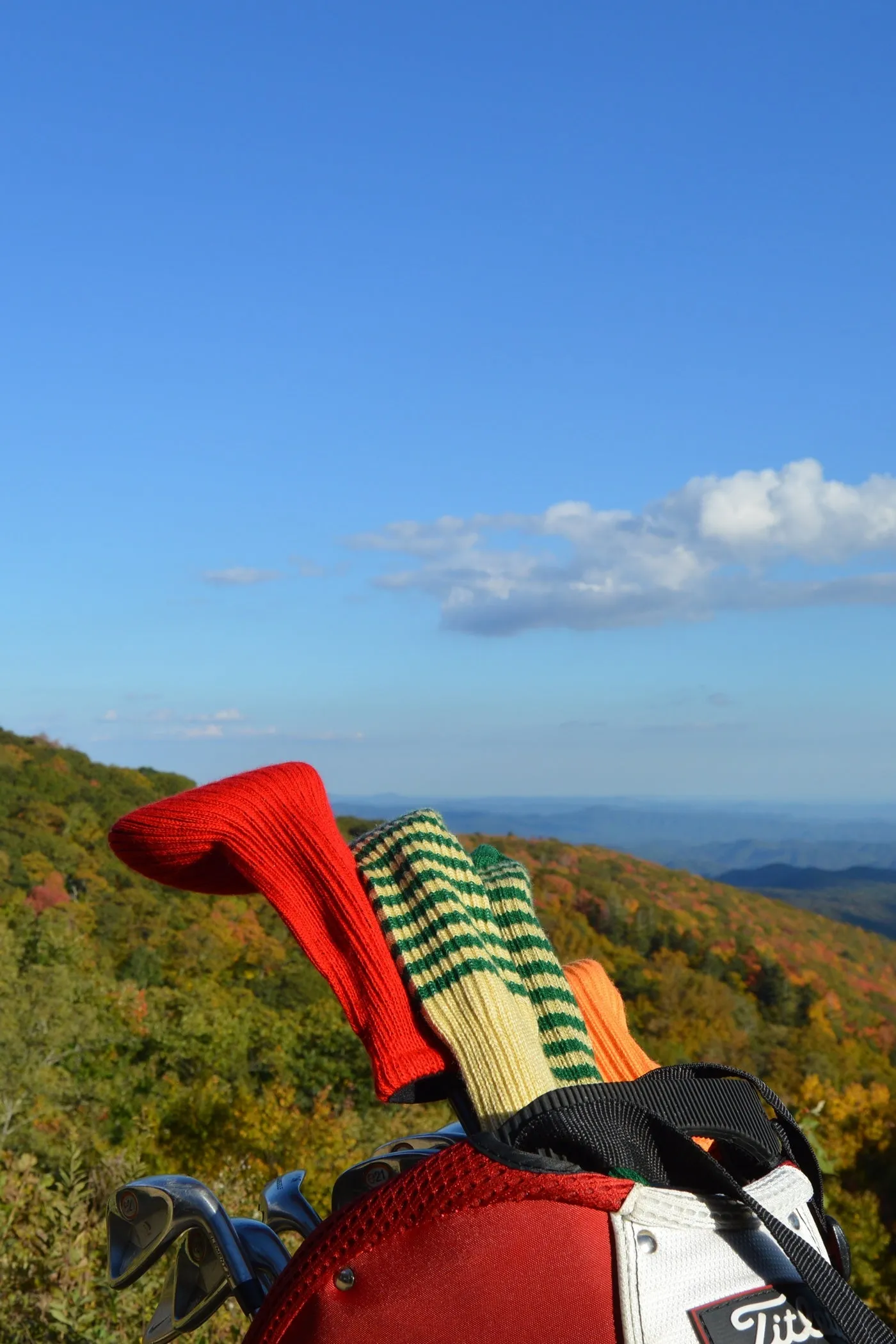 Gold and Ruby Pink Club Sock Golf Headcover