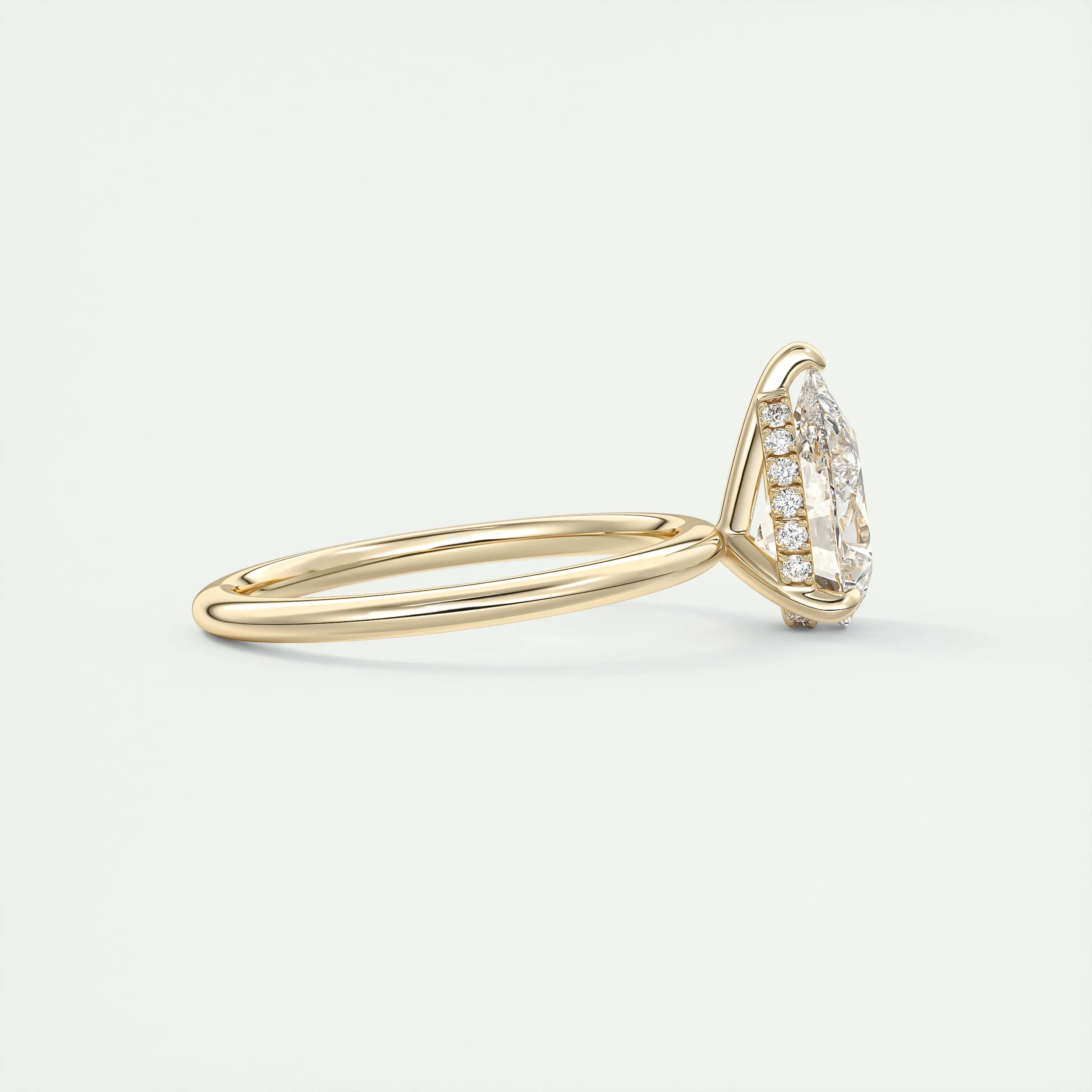 Hidden Halo | Pear