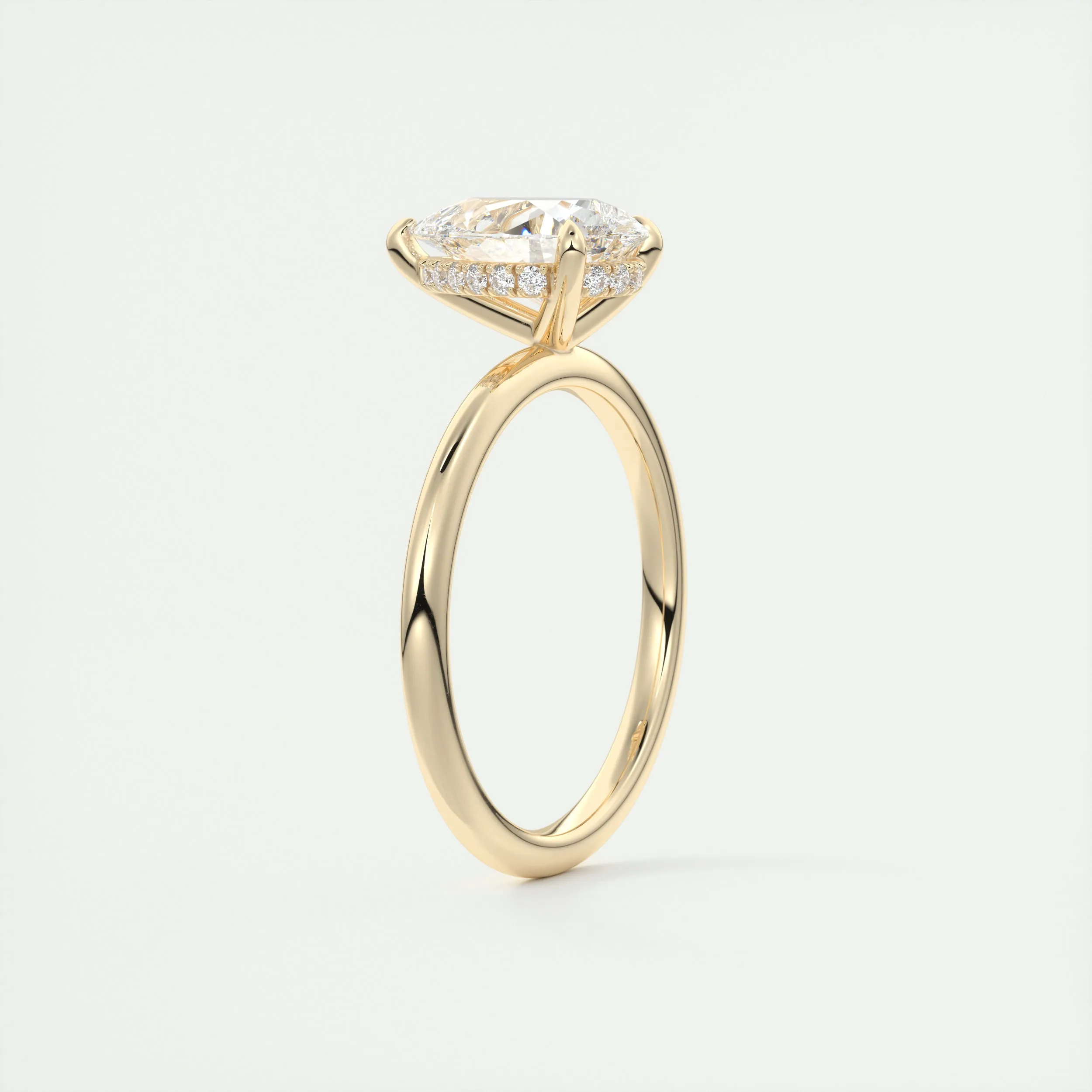 Hidden Halo | Pear