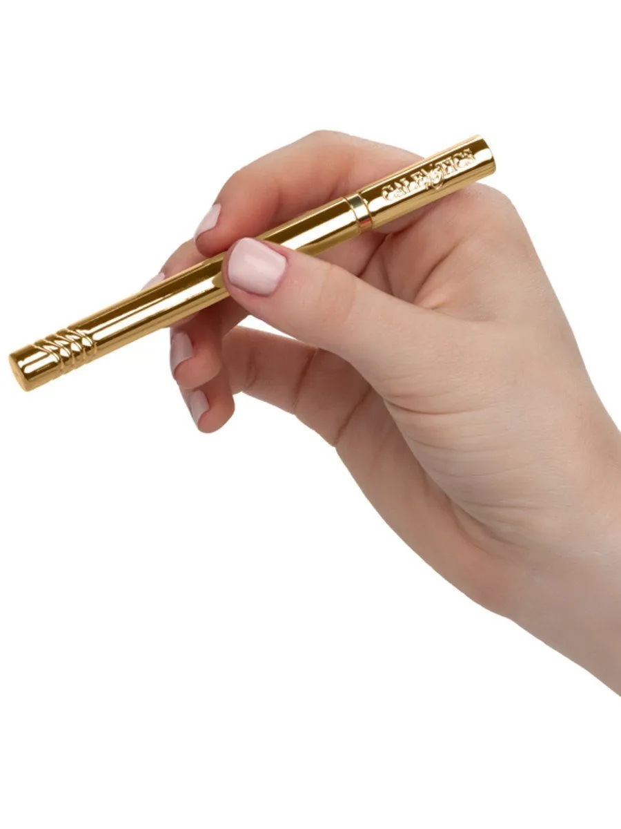 Hidden Pleasures Bullet Vibrator