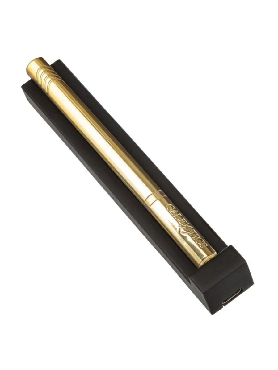 Hidden Pleasures Bullet Vibrator