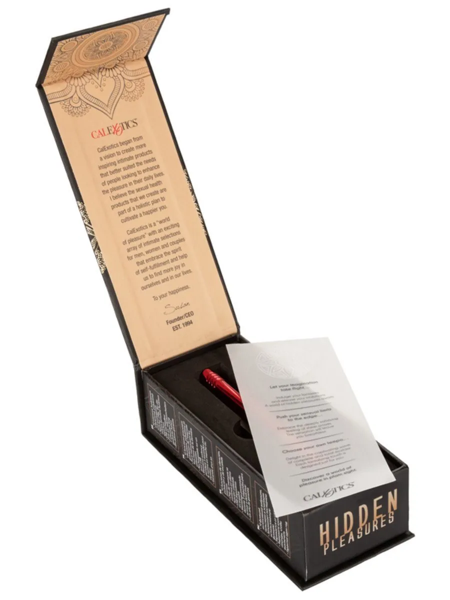 Hidden Pleasures Bullet Vibrator