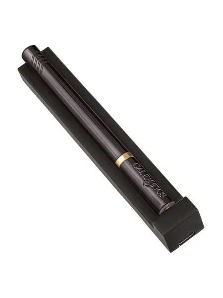 Hidden Pleasures Bullet Vibrator