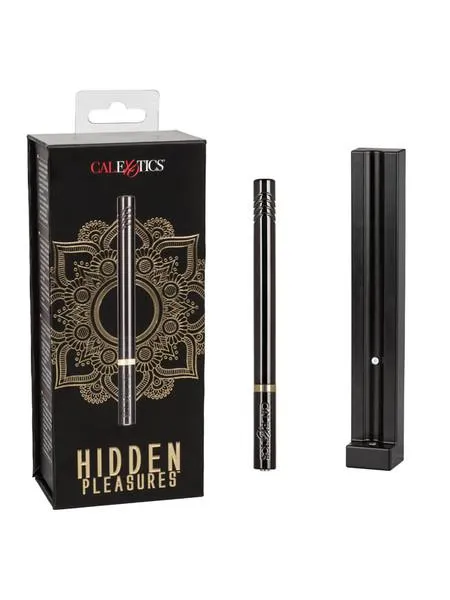 Hidden Pleasures Bullet Vibrator
