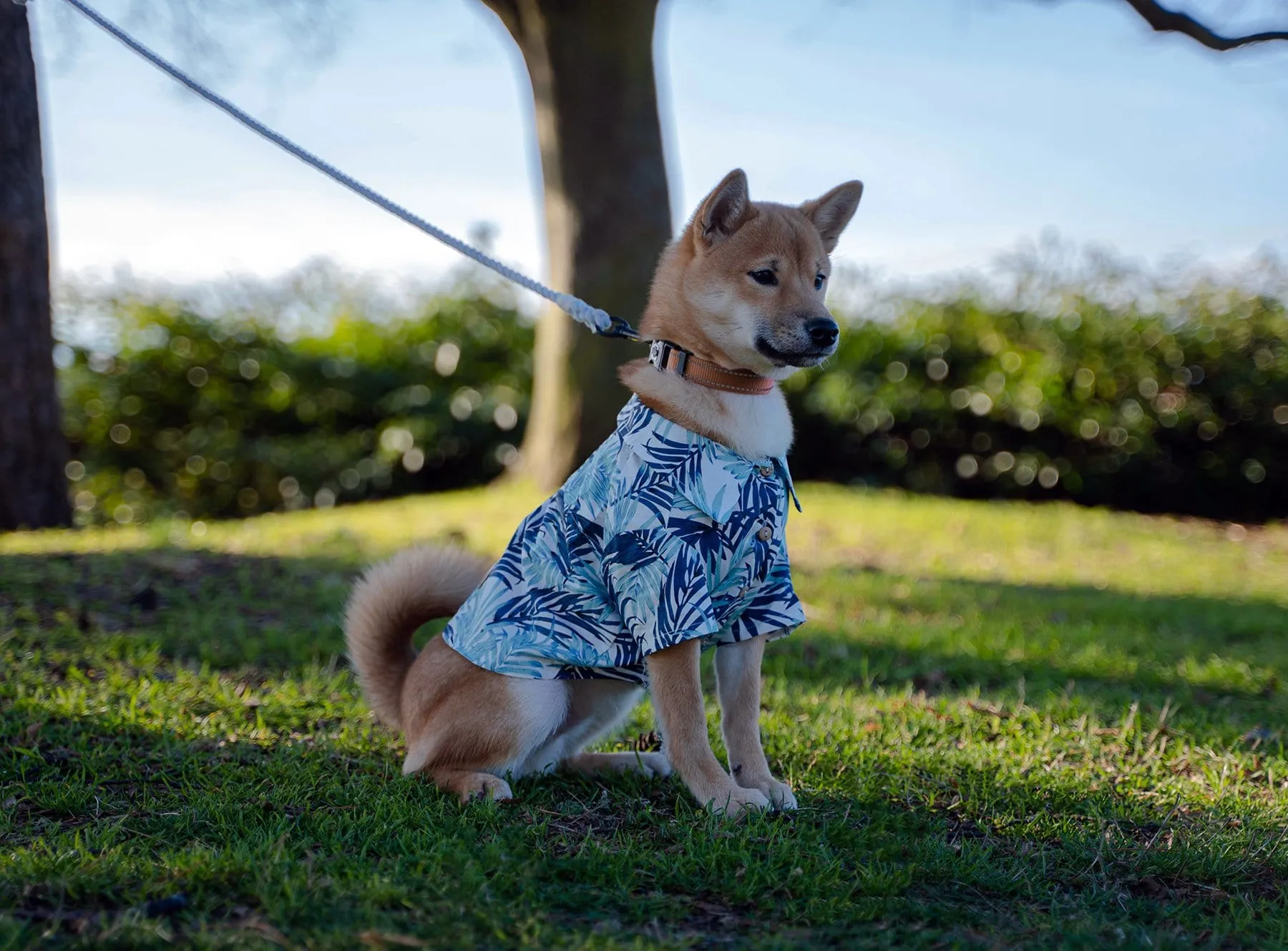 Hungtington: The Beach Shirt