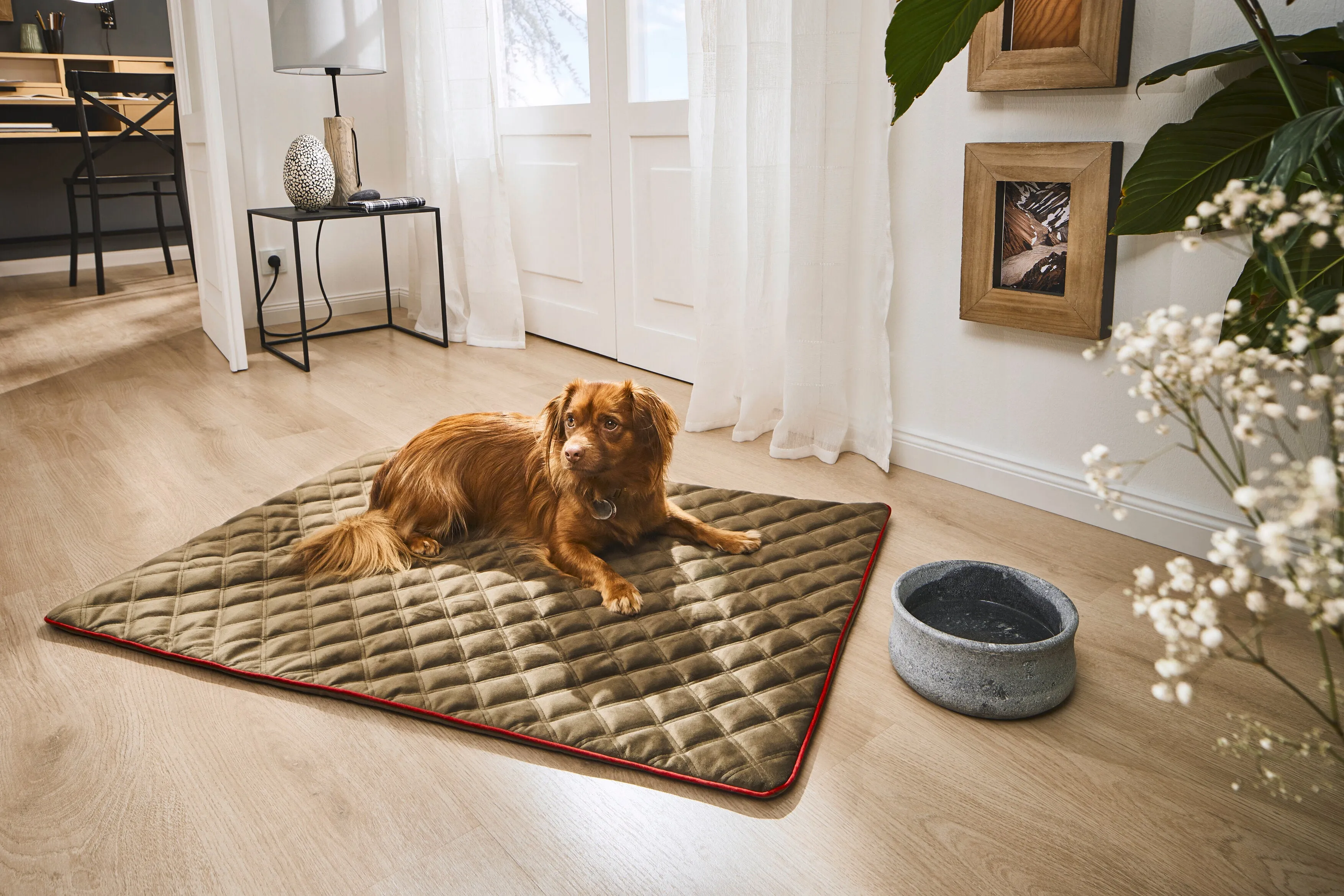 Laboni Multifunctional Outdoor and Travel Dog Blanket Oxford