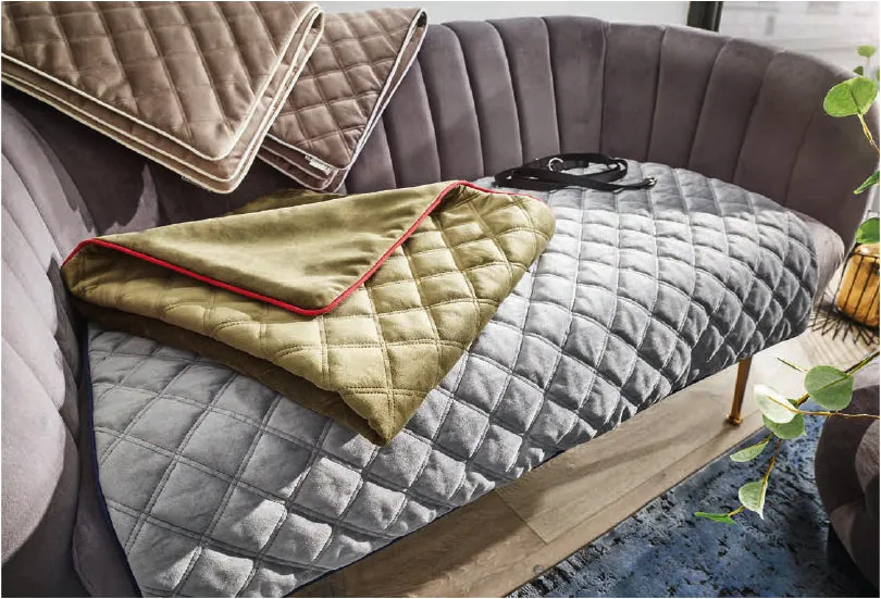 Laboni Multifunctional Outdoor and Travel Dog Blanket Oxford