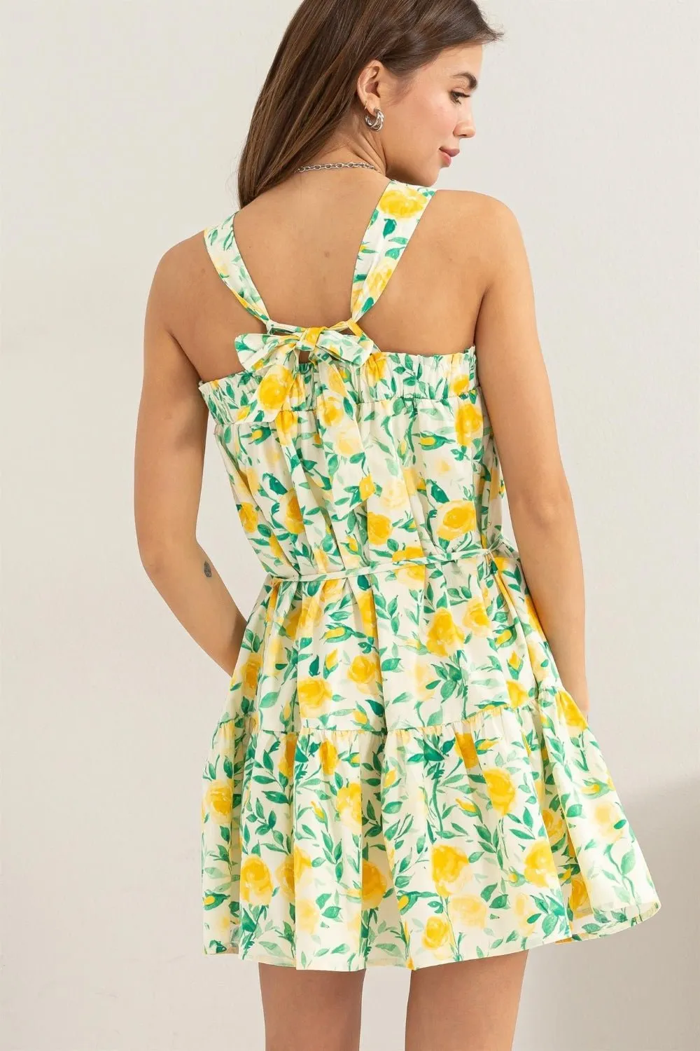 Let's Picnic Mini Dress