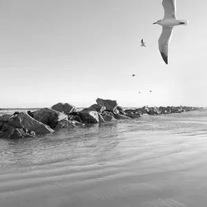 New Smyrna Beach Jetty