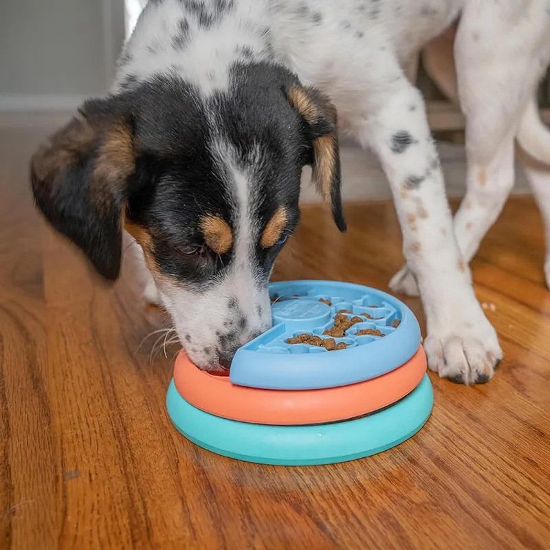 Outward Hound Nina Ottosson Puppy Lickin' Layers Puzzle Game