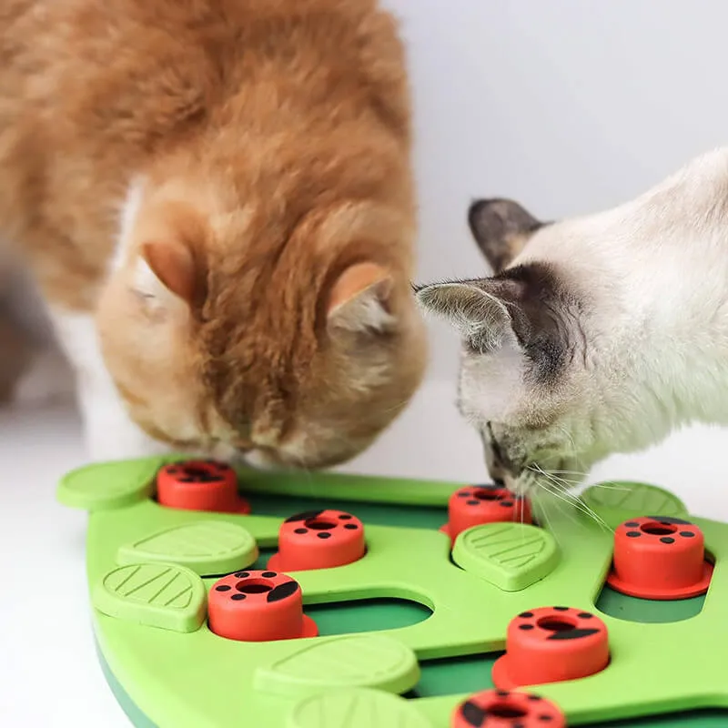 Petstages Buggin' Out Puzzle & Play Cat Treat Game