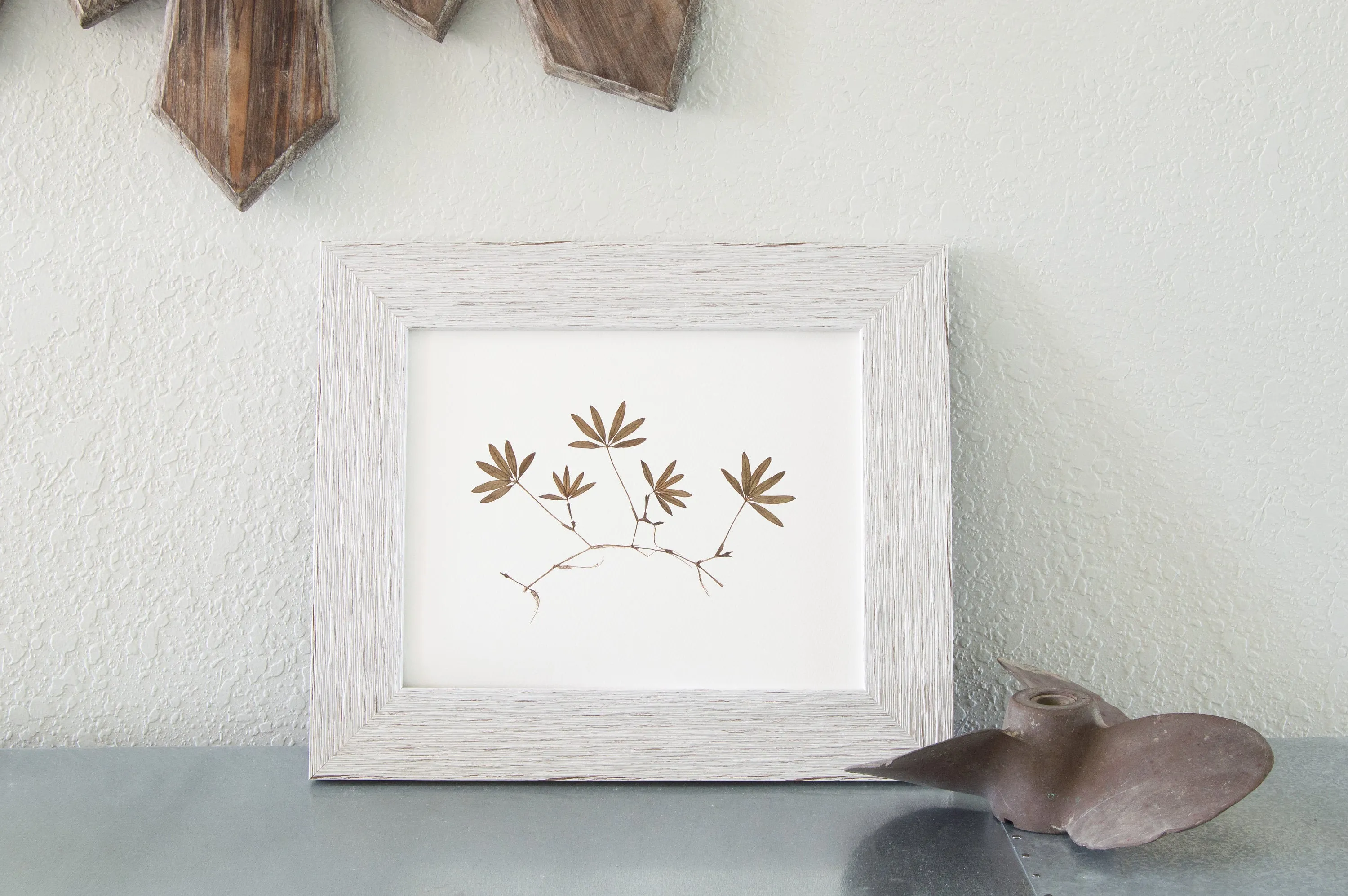 "Hidden" - 8x10 Art Print