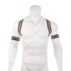 Rainbow Backpack   Arm Harness