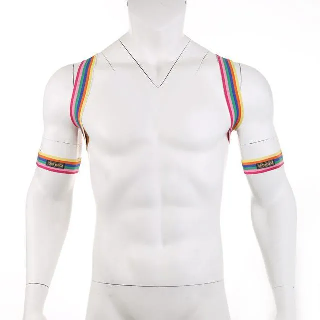 Rainbow Backpack   Arm Harness