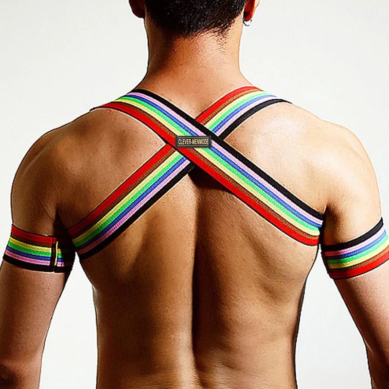 Rainbow Backpack   Arm Harness
