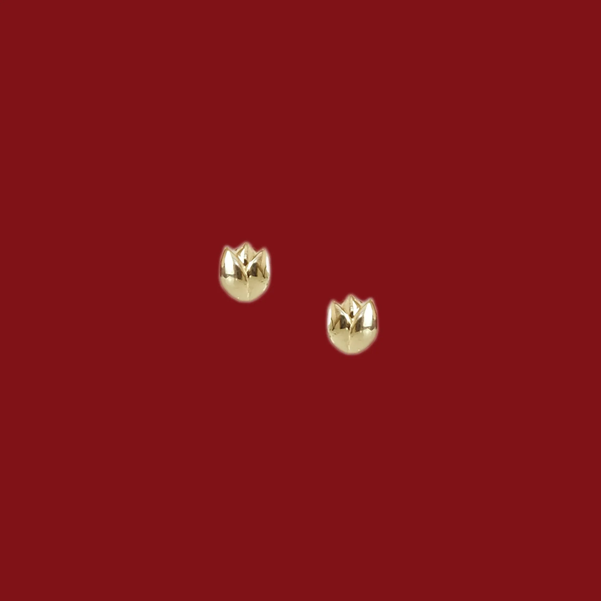 Reyna Stud Earrings in 14k Gold