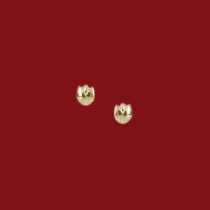 Reyna Stud Earrings in 14k Gold