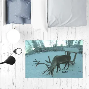 Sublimation Mat / Carpet / Rug / Play Mat / Pet Feeding Mat - Rudolph the Reindeer Collection