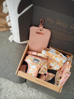 Summer Fling Bundle