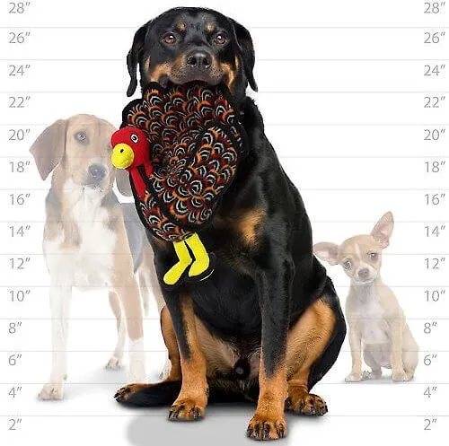 Tuffy's Barnyard Tallulah Turkey