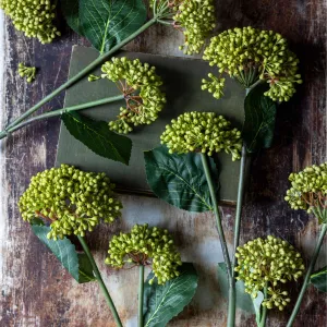 VIBURNUM Olive - faux couture botanical