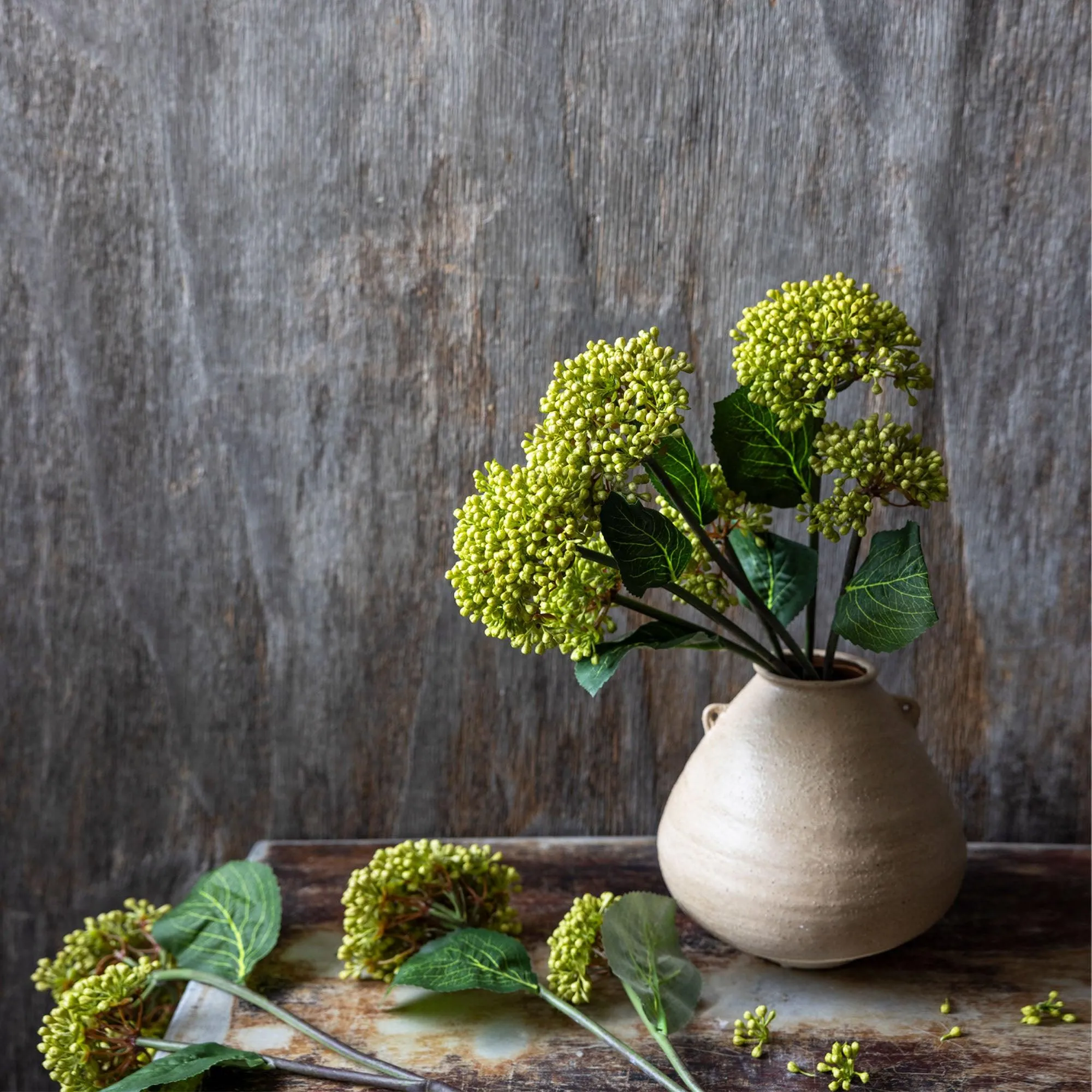 VIBURNUM Olive - faux couture botanical
