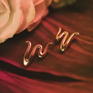 Worthy Earrings in 14k Gold