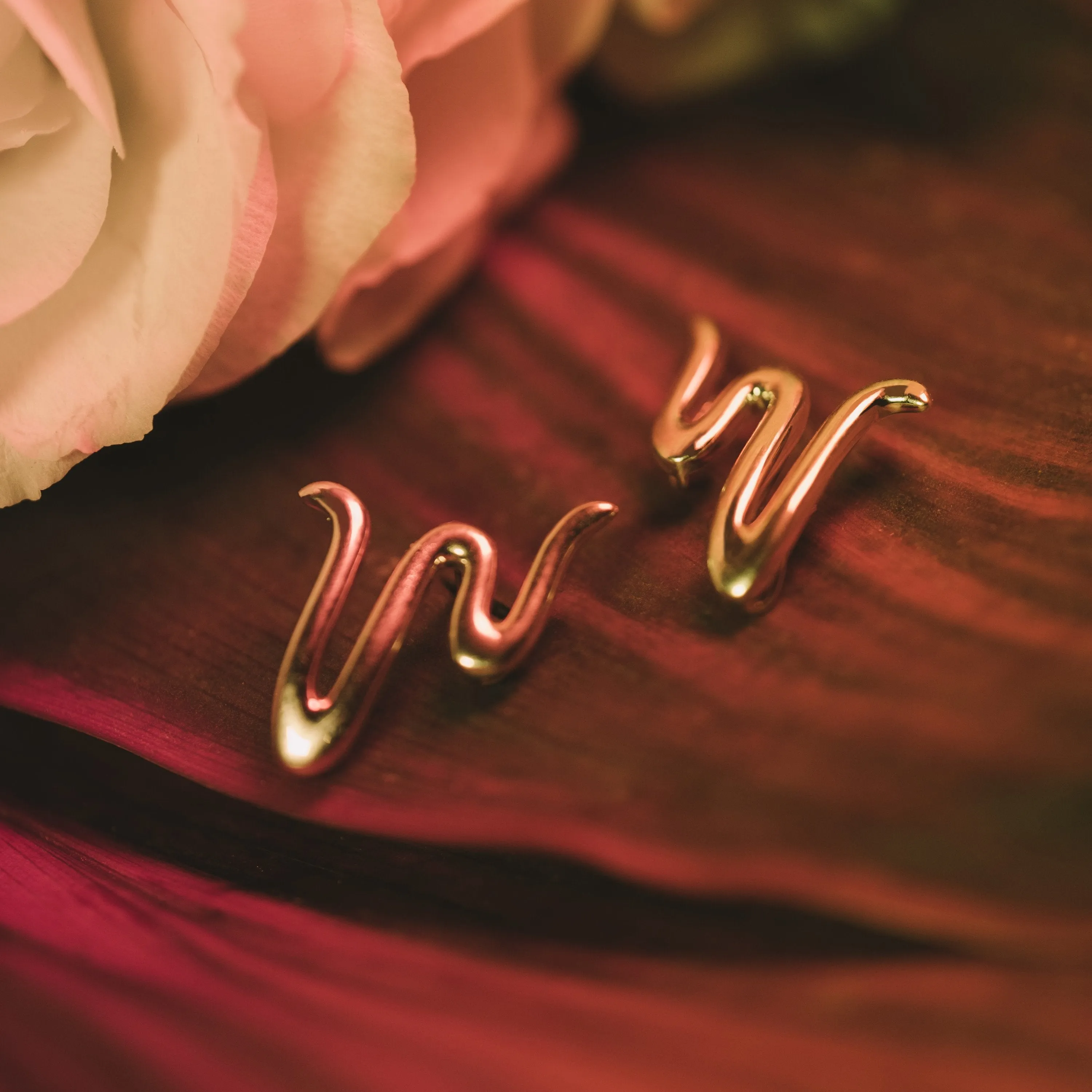 Worthy Earrings in 14k Gold